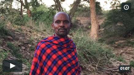 Maasai Elders Video